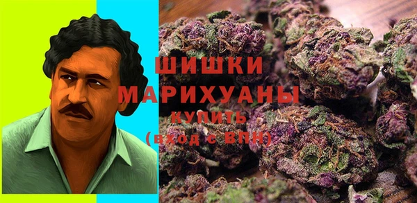 ГАЛЛЮЦИНОГЕННЫЕ ГРИБЫ Кинешма