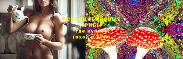 ГАЛЛЮЦИНОГЕННЫЕ ГРИБЫ Кинешма